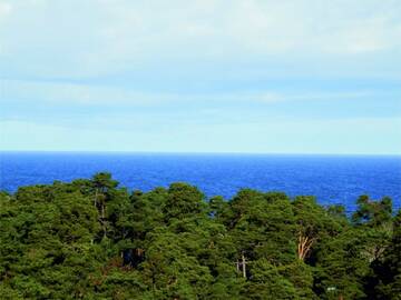 Стандартный двухместный номер с 1 кроватью или 2 отдельными кроватями, лечебным пакетом услуг и видом на море в Санатории Санаторий Белоруссия